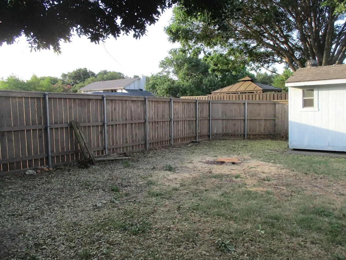 Cleared yard after professional tree removal in Neola