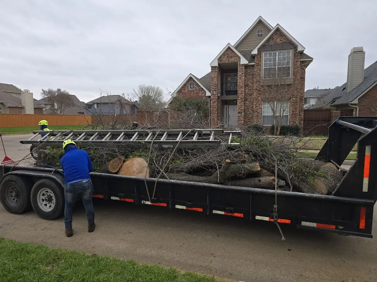 Expert Tree Fertilization with proper safety equipment in Neola
